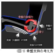 骨盤支持の考え方（図：全日本空輸の発表資料より）