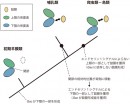 今回研究に基づいた鼓膜と中耳の進化過程を示す図。哺乳類と爬虫類-鳥類の共通祖先である初期羊膜類には鼓膜は存在せず、エンドセリン1シグナル伝達の一部であるGsc遺伝子は下顎の形成に関わっていた。哺乳類では鼓膜に対する顎関節の相対的位置が背側（上側）に移動した結果、Gsc遺伝子が鼓膜形成能を獲得し、下顎の一部として鼓膜を獲得したが、爬虫類－鳥類系統では上顎の一部として鼓膜が獲得された。（理化学研究所の発表資料より）