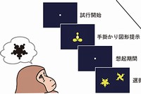 今回の研究で実施された対連合記憶課題の概要を示す図。サルがレバーを引くと試行が開始され、手掛かり図形が提示される。続いて、想起期間の後、選択図形が提示される。サルが手掛かり図形の対図形（この例では左下の選択図形）を選べば正解となり報酬を得られる。サルは12の図形対を学習した（東京大学の発表資料より）