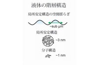 今回の研究で明らかになった液体の階層的構造の模式図 （東京大学の発表資料より）