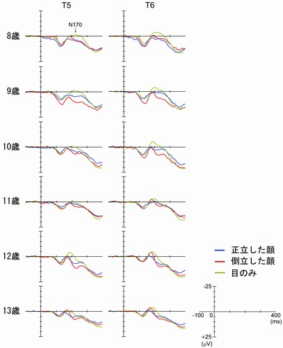 8～13歳までの被験者から得られた脳波波形。8～10歳では、目のみに対する脳波成分（N170）が他の条件に比べて大きい。その後13歳になると、正立した顔に対する脳活動のピークが、他の条件に比べて早くなる。（生理学研究所の発表資料より）