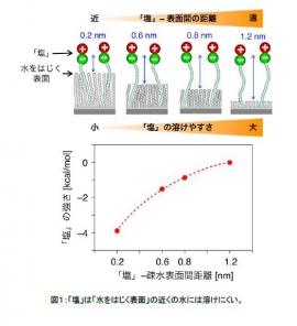 水をはじく性質を持つ材料表面の近くでは、「塩」と「水をはじく表面」との距離が近ければ近いほど、「塩」が水に溶けにくくなることが明らかになった。（写真：東京大学の発表資料より）