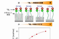 水をはじく性質を持つ材料表面の近くでは、「塩」と「水をはじく表面」との距離が近ければ近いほど、「塩」が水に溶けにくくなることが明らかになった。（写真：東京大学の発表資料より）