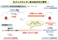 ホルモン依存性の乳がんには、エストロゲンとエストロゲン受容体の働きを阻害する薬剤が使われるが、この治療を長期に受けていると、がん細胞が薬剤に耐性をもって再発することがある。再発したがんは、その性質が換わって難治性になる。（熊本大学の発表資料より）