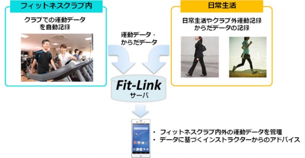 「Fit-Link」の導入（NTTドコモの発表資料より）