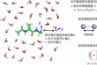 分子集団系の原子間相互作用を示す図。分子動力学計算では、原子を「電荷を持った質点」として近似し、それらがバネでつながっている分子モデルを扱う。分子が多数集合した系に対しては、原子同士の相互作用を結合性相互作用（伸縮振動、変角振動、二面角変化に伴う相互作用）と非結合性相互作用（ファンデルワールス相互作用とクーロン相互作用）に分けて計算する。（理化学研究所の発表資料より）