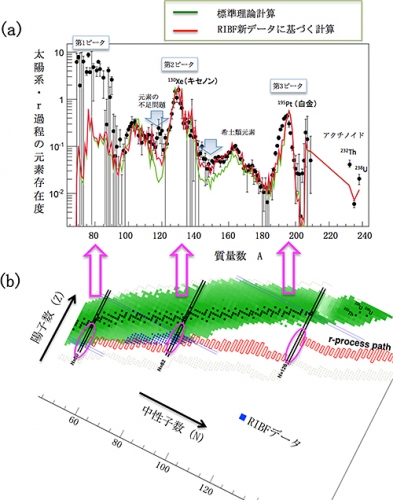 （a）はr過程に起因する太陽系の鉄より重い元素の存在比を示す。第1、2、3ピークと希土類元素のピーク構造を持つことが分かる。緑線は従来の原子核理論を、赤線はRIBF新データを取り込んだ元素存在比。（理化学研究所の発表資料より）