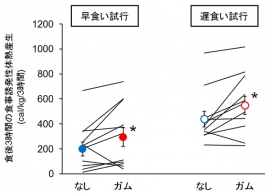 早く食べた際（左）と遅く食べた際（右）の、食後3時間の体重1kg当りの食事誘発性体熱産生の個人値、平均値および標準誤差を示す図。食べる早さは有意に食事誘発性体熱産生に影響した。ガム咀嚼も有意な効果を示したものの、食べる早さの影響には匹敵するものではなかった。（東京工業大学の発表資料より）