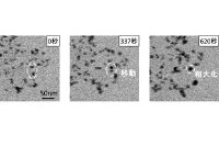 白金微粒子挙動の観察結果 （トヨタ自動車の発表資料より） 