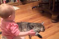 もうネコちゃんがかわいくて仕方ないという赤ちゃんは、かなり激しく愛情を表現しています。
