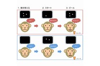 今回の研究で実施した数の加減操作課題 のイメージ。（図：東北大学医学系研究科の発表資料より）