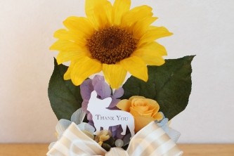 『Happy Sunflower』（株式会社岡田商会発表資料より）