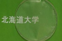 大腸菌細胞内で合成・抽出されたバイオプラスチックを用いて成型されたフィルム
細胞内から抽出したバイオプラスチックは透明性と伸縮性に優れたフィルムに成型できる。（北海道大学の発表資料より）