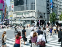 5月25日に気象庁が発表した3ヶ月予報によると、今年の夏の日本全国の天気は平年に比べて晴れの日が少なく曇りや雨の日が多くなり、気温は平年並みになる見込みだという