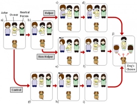 飼い主と実験者がやり取りをする場面を見せる実験の概要を示す図。(京都大学の発表資料より) 飼い主と実験者がやり取りをする場面を見せる実験の概要を示す図。(京都大学の発表資料より)