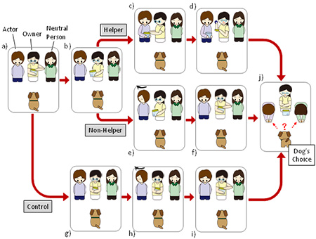 飼い主と実験者がやり取りをする場面を見せる実験の概要を示す図。（京都大学の発表資料より）