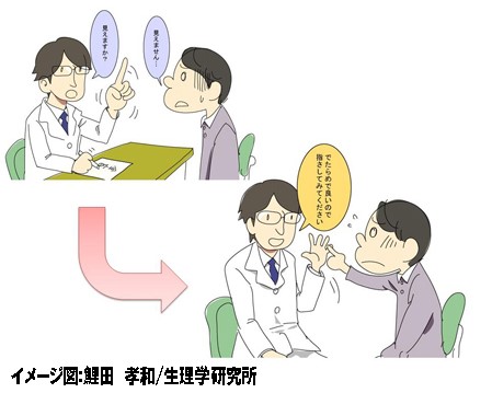 盲視のイメージ。本人は見えていないにもかかわらず、眼球運動など一部の視覚機能は脳損傷から回復することがある。これを盲視と呼ぶ。（生理学研究所の発表資料より）