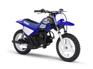 「PW50」は2015年8月20発売。本体価格12万5000円。