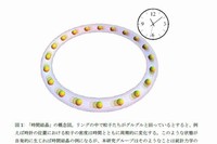 時間結晶の概念を示す図。リングの中で粒子が回っているとすると、例えば時計の位置における粒子の密度は時間と共に周期的に変化する。このような状態が自発的に生じれば時間結晶の例になるが、今回の研究では、そのようなことが統計力学の原理に従うとありえないことを証明した。（東京大学の発表資料より）