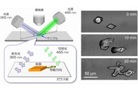 結晶が光で移動する現象の様子。結晶が移動する現象の模式図（左）と顕微鏡写真（右）（産総研の発表資料より）