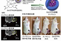 Gd-DTPA錯体を搭載したナノマシンによる固形がんのMRI（左下）と中性子捕捉治療（右下）（東京工業大学の発表資料より）