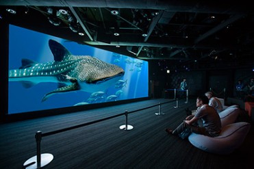 美ら海水族館の世界が東京・銀座に登場！ソニービルで「48th Sony Aquarium」開催