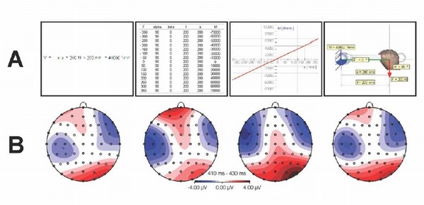 行Aは学生参加者に見せた情報の例、行Bは呼応したP3bセグメントの脳活動（脳電図EEGの記録）。（京都大学の発表資料より）