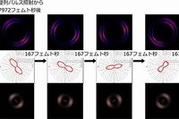 左回りに回転する窒素分子のスナップショット。プロペラの形状をした分子配向分布が約700フェムト秒で3分の1回転する様子が観測された。（東京工業大学の発表資料より）