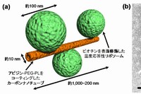 (a) カーボンナノチューブとリポソームからなるナノロボットの概念図。(b)ナノロボットの電子顕微鏡写真白い矢印はリポソーム、赤い矢印はカーボンナノチューブを示す（産総研の発表資料より）