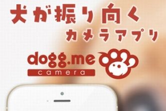 「dogg.meカメラ」イメージ（株式会社ONE BRAND発表資料より）