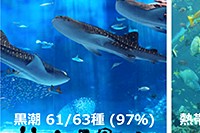 沖縄美ら海水族館の黒潮水槽、熱帯魚水槽、深層水槽、マングローブ水槽で検出された種数と飼育された魚でリファレンスとなるＤＮＡの塩基配列を持つ種の比。括弧内の数字はそのパーセンテージ。（千葉県立中央博物館などの発表資料より）