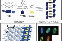 今回の研究の概念を示す図（九州大学の発表資料より）