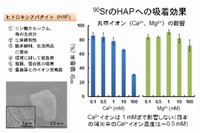 岡山大学の研究グループは、環境に対して安全な物質を用いて、汚染水から効果的に放射性ストロンチウムを吸着・除去する新規技術を開発した。（写真：岡山大学の発表資料より）