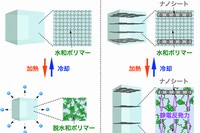 従来のヒドロゲルアクチュエータと今回開発されたヒドロゲルアクチュエータの動作原理の比較。従来のものは、個々のポリマー鎖が脱水和・水和した後に網目全体が収縮・膨潤し、体積変化を起こすことにより動作する。一方、今回開発されたものは、ポリマーの脱水和・水和と同時に系内の誘電率が変化し、ナノシート間の静電反発力が増減することにより動作する。（理化学研究所の発表資料より）