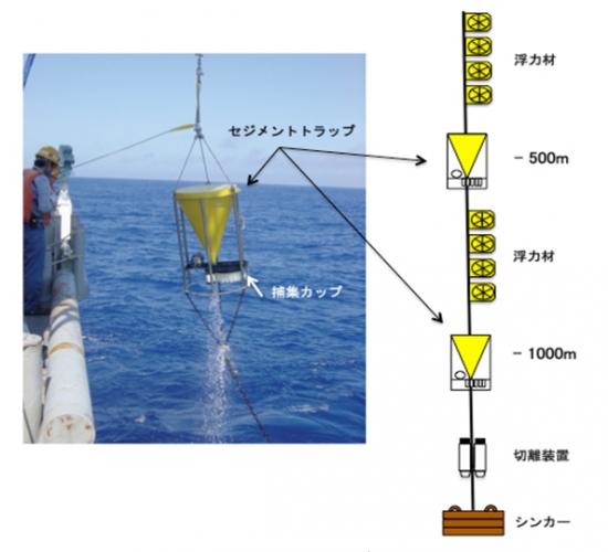 今回の研究で使用された時系列式沈降粒子捕集装置（セジメントトラップ）。黄色いコーン状の容器上部から沈降してきた粒状物を、防腐剤の入った容器下部の捕集カップに捕集する。（海洋研究開発機構の発表資料より）