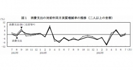 消費支出（二人以上の世帯）の対前年同月実質増減率の推移を示す図（総務省の発表資料より）