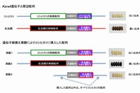 今回の研究では、紅血糯由来のKara4遺伝子の制御配列が、米粒の色を黒くするために必要であることを遺伝子組換え実験で確認した。灰色部分は、コシヒカリと紅血糯に共通する配列。コシヒカリと紅血糯のKara4遺伝子もほぼ同じ配列。（農業生物資源研究所と富山県農林水産総合技術センターの発表資料より）