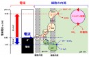 微小の電力を使って生きる生物の代謝経路を示す図。細胞内に存在する分岐型電子伝達系を昇圧回路として利用し、それによってわずか0.3Vの電位差を1.14 Vまで高め、二酸化炭素から有機物を作り出す。（理化学研究所の発表資料より）