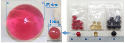 医療機関から提供された摘出物（左）と、保護者から提供された同型品（:国民生活センター発表資料より）