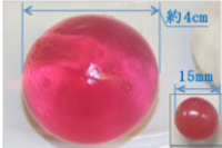 医療機関から提供された摘出物（左）と、保護者から提供された同型品（:国民生活センター発表資料より）