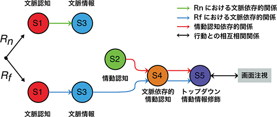 S1-5の条件ごとの連鎖的依存関係を示す図。S1からS5に向かう異なるネットワーク構造が、相互に依存する連鎖状の情報処理経路があることが分かった。（理化学研究所の発表資料より）