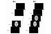 今回の研究で実施した課題のイメージ。閾下呈示では、意識的には見えないほどの短時間だけ、被験者に視線が呈示された。（京都大学の発表資料より）