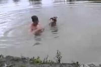 池で潜って出てこない飼い主を助けるわんこがすごい!