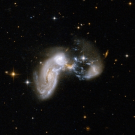 衝突し、爆発的に星形成が起きている銀河の例 Zw II 96。今回アルマ望遠鏡ではこの天体よりもずっと遠方で活発に星を作っている銀河を観測した。©NASA, ESA, the Hubble Heritage Team (STScI/AURA)-ESA/Hubble Collaboration and A. Evans (University of Virginia,Charlottesville/NRAO/Stony Brook University) 