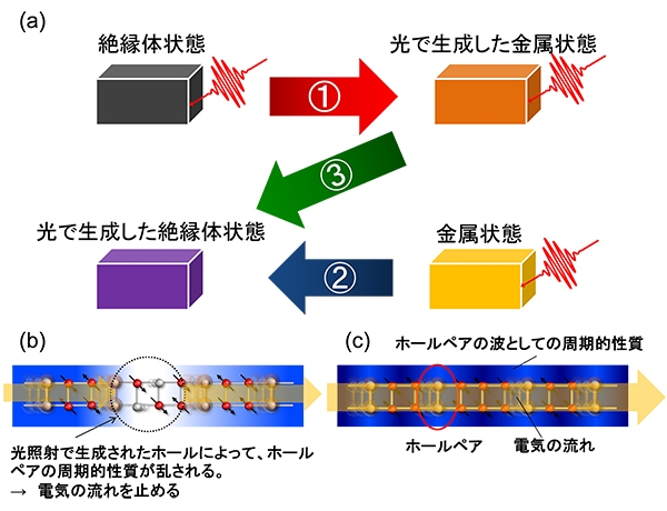 （a）光を使った電気特性制御のスキーム、（b）光で生成した絶縁体状態、（c）金属状態におけるホールペアの流れ。（東京工業大学の発表資料より）