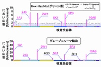 今回の研究では、6種の嗅覚受容体（1A1、2J3、2W1、5K1、5P3、10A6）が抗疲労作用を示すことが知られている2種の香りに共通して活性化されることを明らかにした。（大阪市立大学の発表資料より）