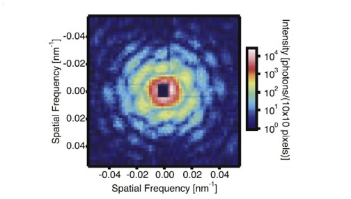 自動車の排ガスの浄化に関しSACLA が発生した XFEL を1発照射して得られたコヒーレント回折パターン（北海道大学などの発表資料より）