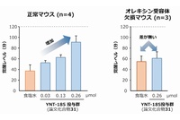 筑波大学の長瀬博教授と柳沢正史教授が発見したオレキシン受容体作動薬「YNT-185」の覚醒に対する影響を示す図。YNT-185を脳室内投与すると用量依存的に覚醒の増加が見られたが、オレキシン受容体欠損マウスではYNT-185を投与しても覚醒効果は得られなかった。（筑波大学の発表資料より）