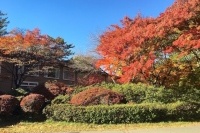 長野県の軽井沢は避暑地として、昔からつとに有名だが、紅葉もまた素晴らしいのをご存知だろうか。軽井沢は通年リゾートへと変化しているのだ。