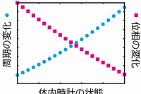 体内時計の周期の頑健性と位相の可塑性の互恵的関係を示す図。（東京大学の発表資料より）